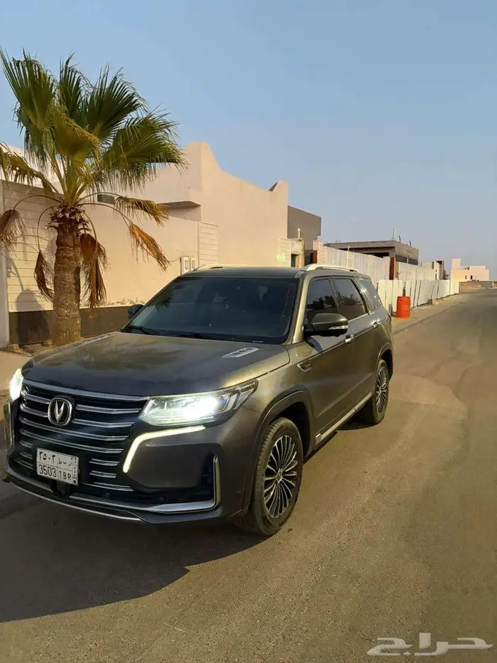 شانجان 2022 11