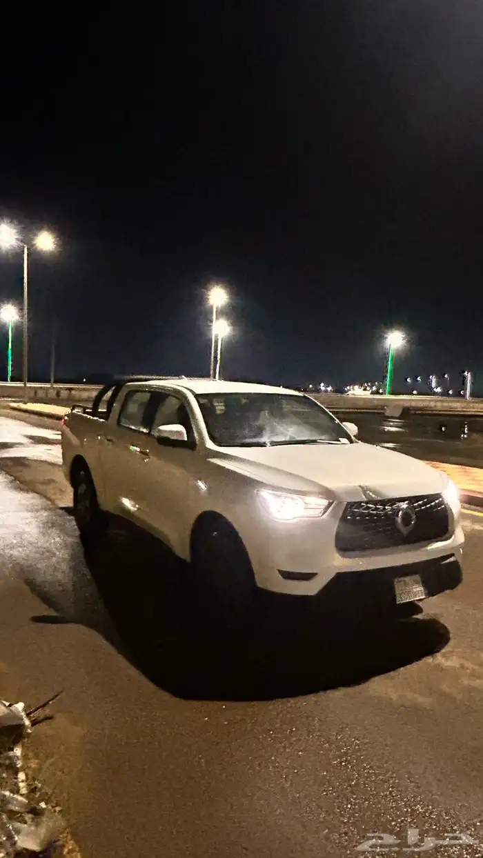 للبيع جريت وول باور موديل 23 السيارة 2
