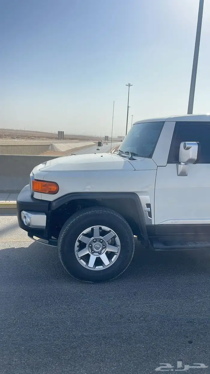 أفجي مديل 2021 1