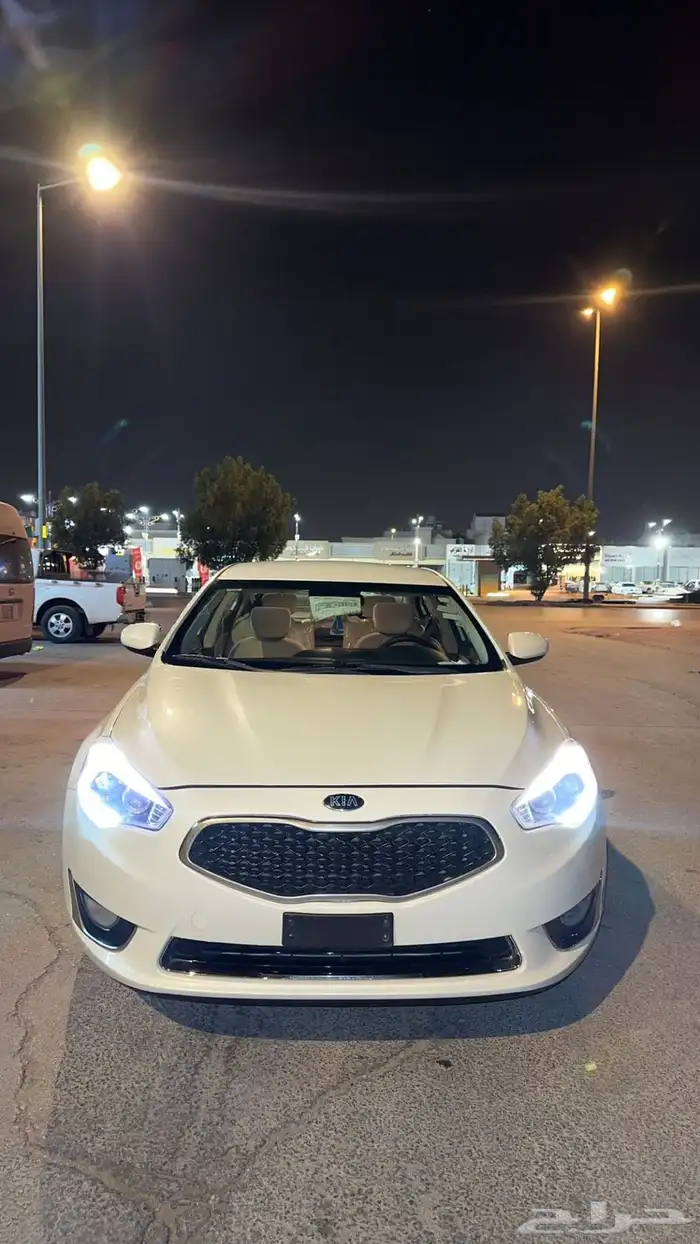 كادينزا المديل 2016 5