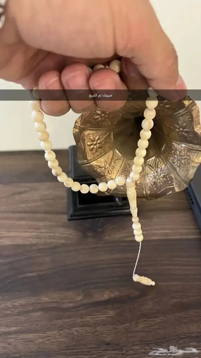 سبحة ناب أسد طبيعي نواعم مشروطه 0
