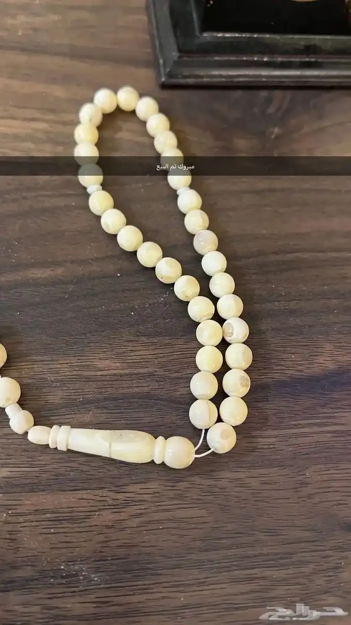 سبحة ناب أسد طبيعي نواعم مشروطه 1