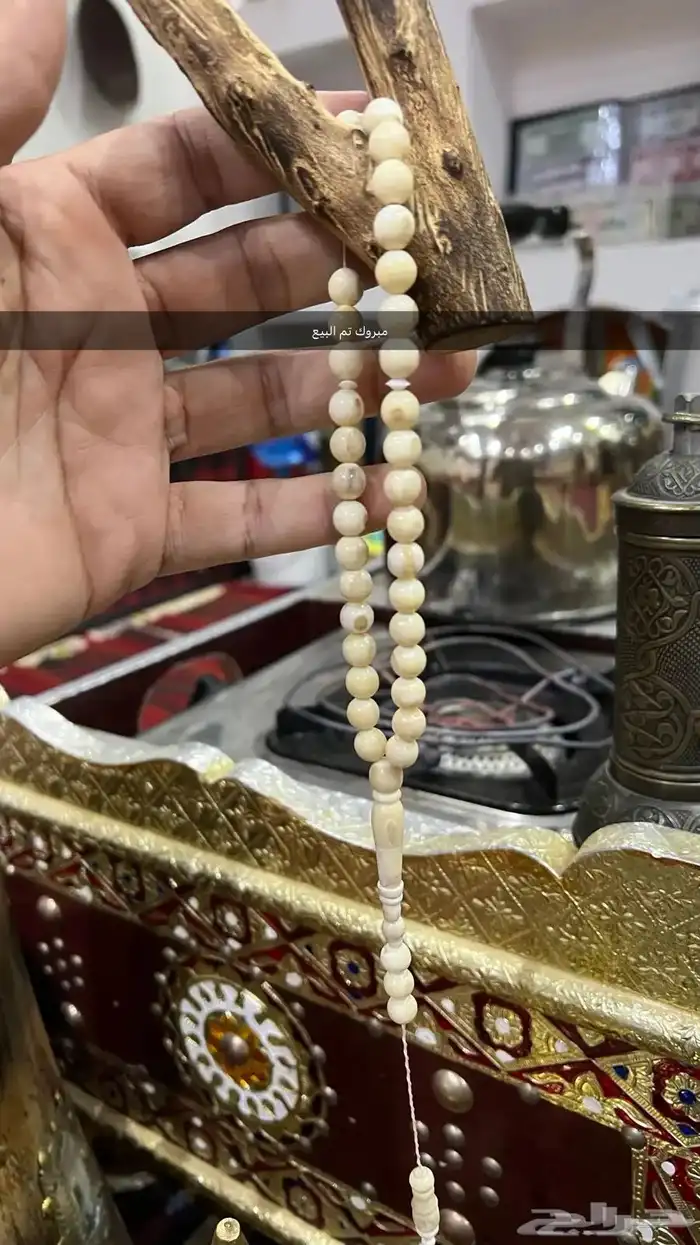 سبحة ناب أسد طبيعي نواعم مشروطه 3