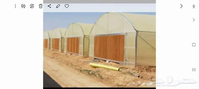 م زراعي مصري تخصص خضار متاح زيارات ومتابعه بالجوال 0