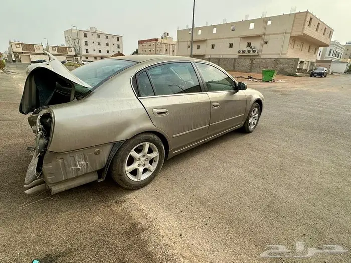 التيما 2007 2