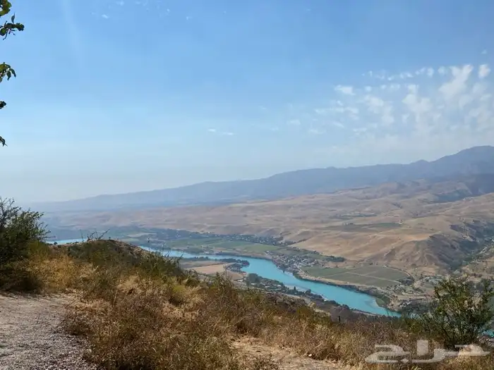 توصيل داخل بريده فقط 0