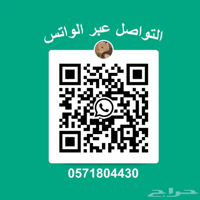 دمية هاتسوني ميكو وصلت 8