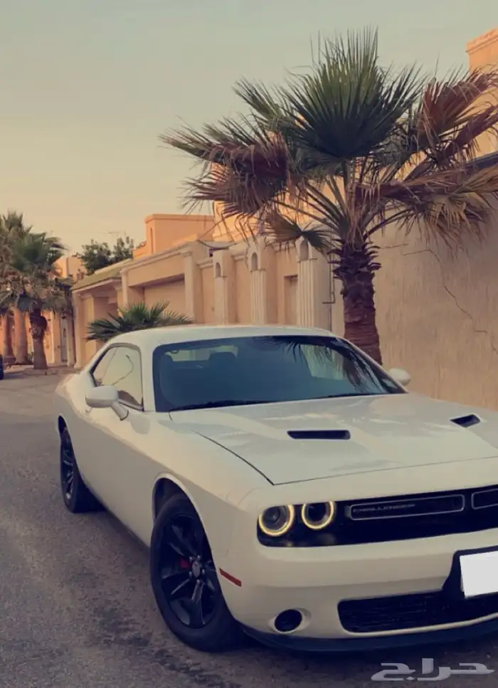 للبيع دودج تشالنجر SXT   موديل 2017 1