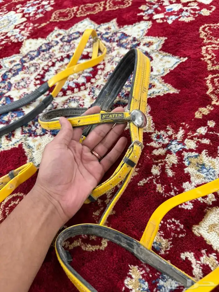 مستلزمات خيل نظيفه شرط بسعر مناسب من افضل الانواع لبطات 0