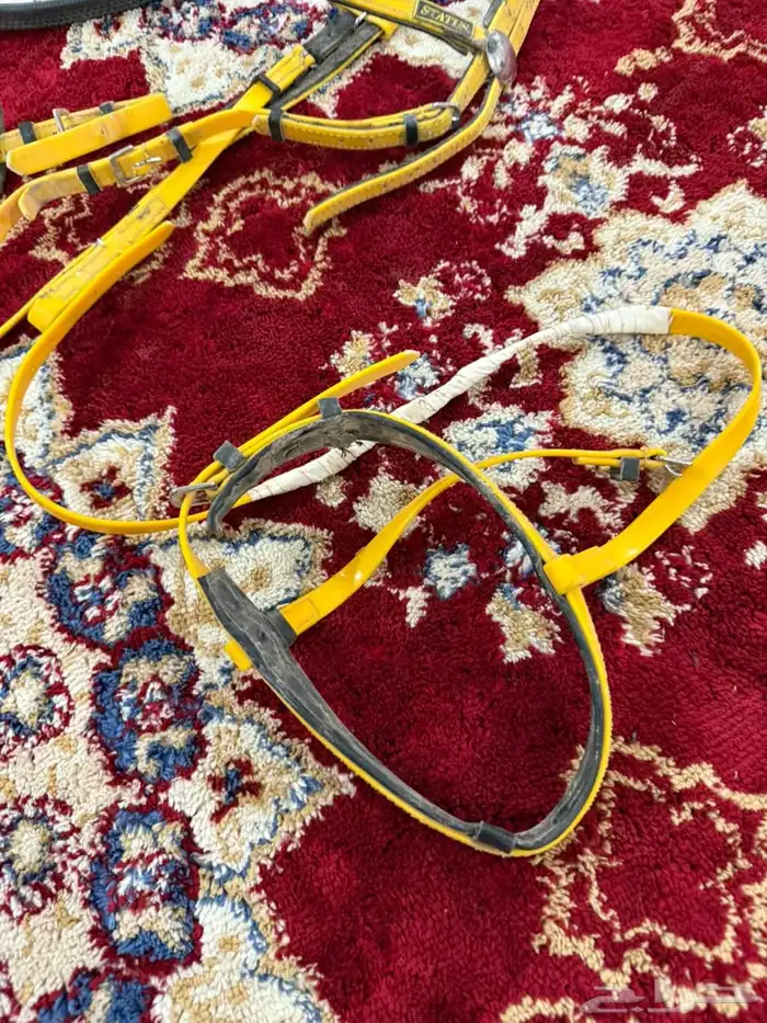 مستلزمات خيل نظيفه شرط بسعر مناسب من افضل الانواع لبطات 1