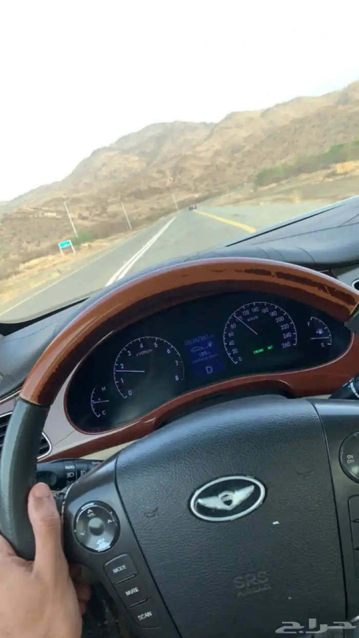 جنسس2013 0