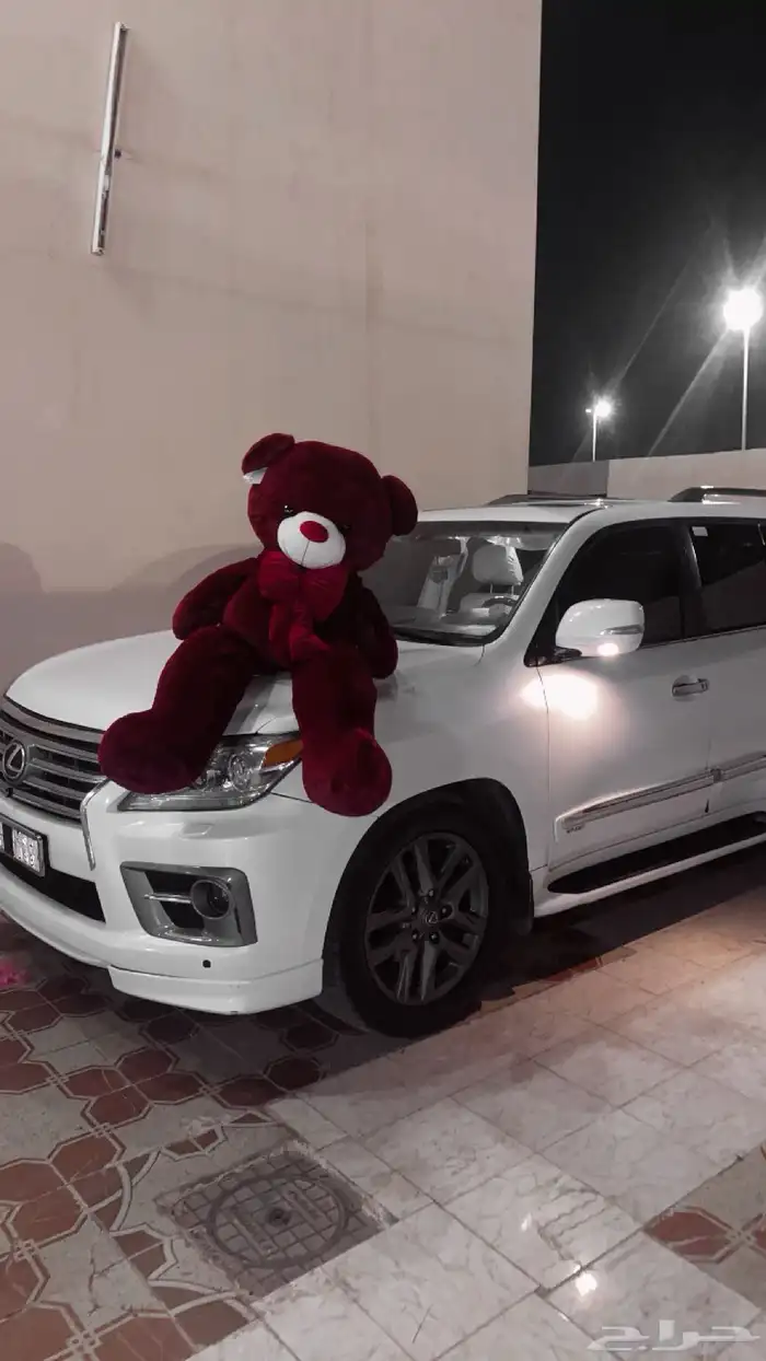 دبدوب زينه 9