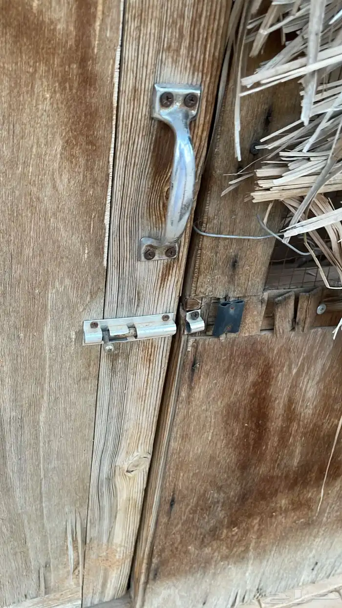 شبك حمام 1