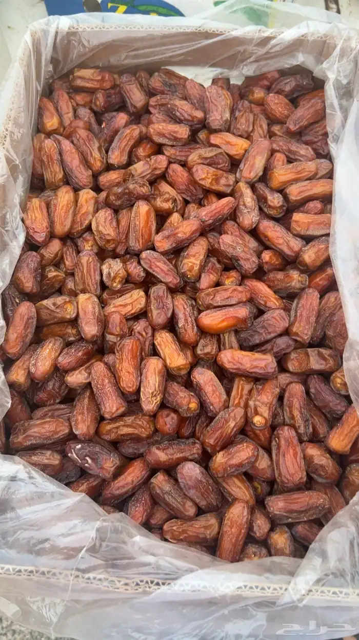 تمر صفري صافي حبة كبير اشعل نظيف 0