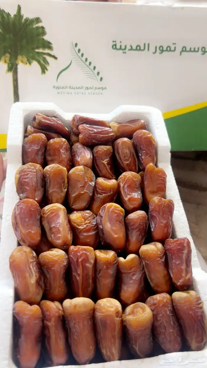 فلين برني العيص ممتاز 0