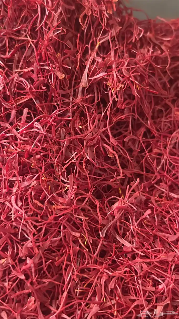 عرض زعفران سوبر نقيل 25 جرام ب 175 5