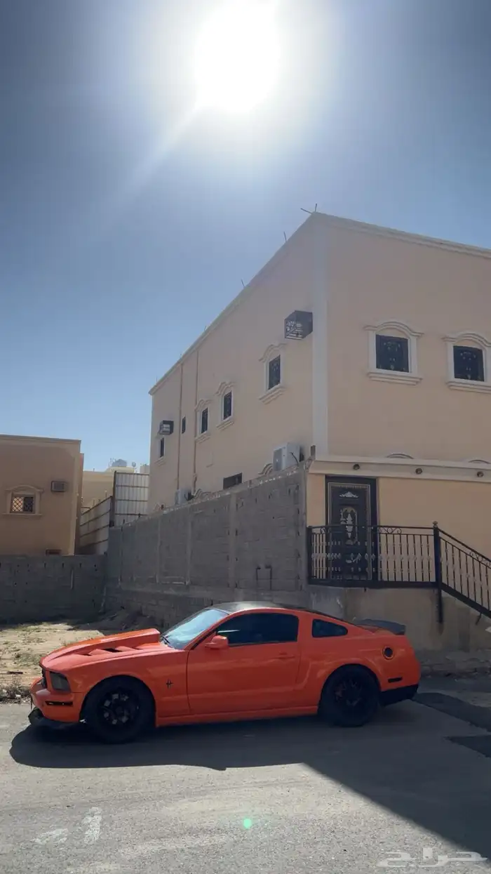 موستنج 2006 6