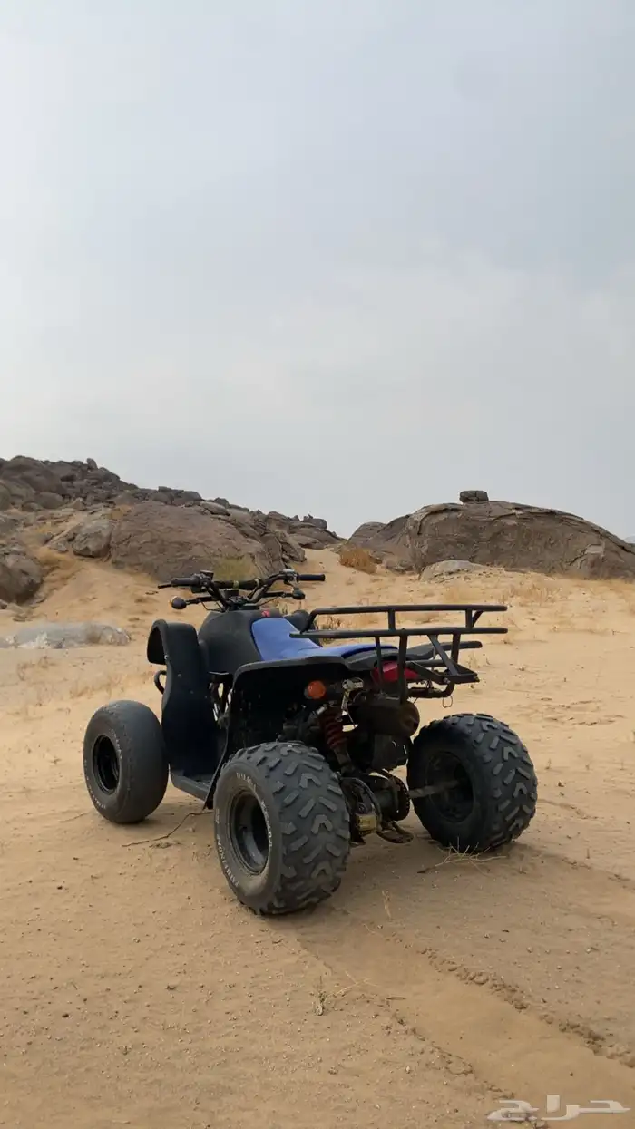 دباب سويدي مقاس 100 2