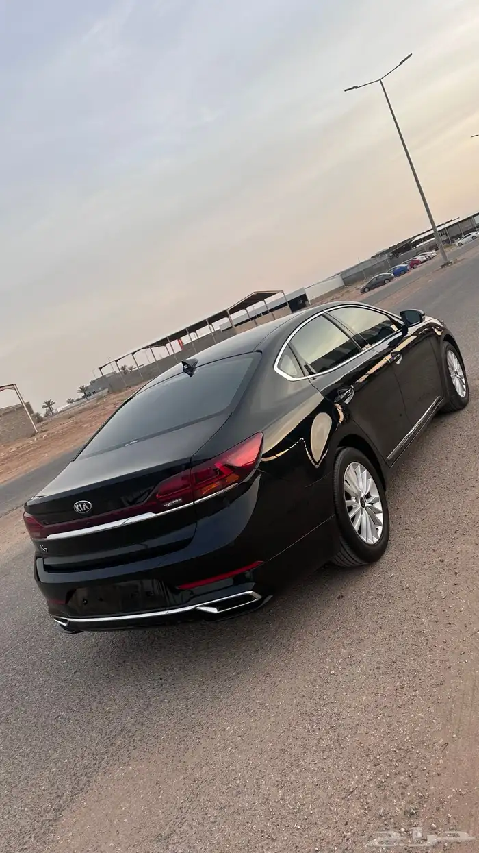 كادنزا 2020 4
