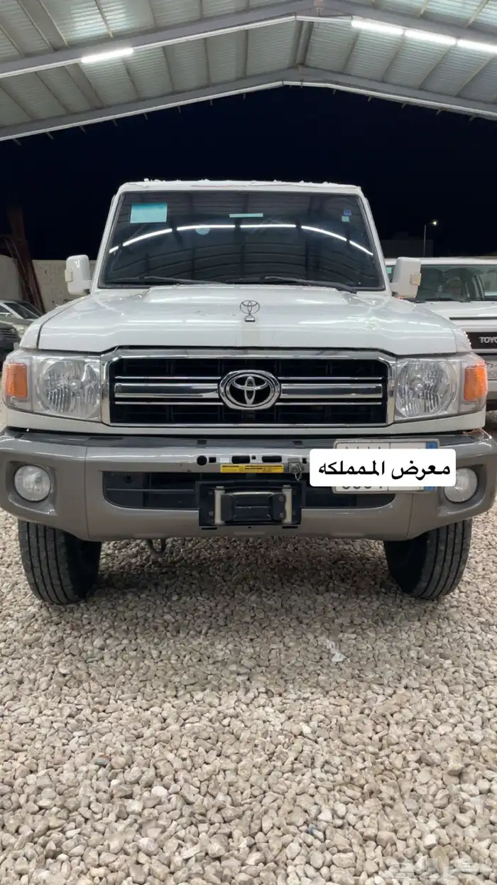 شاص سلق 2011 0