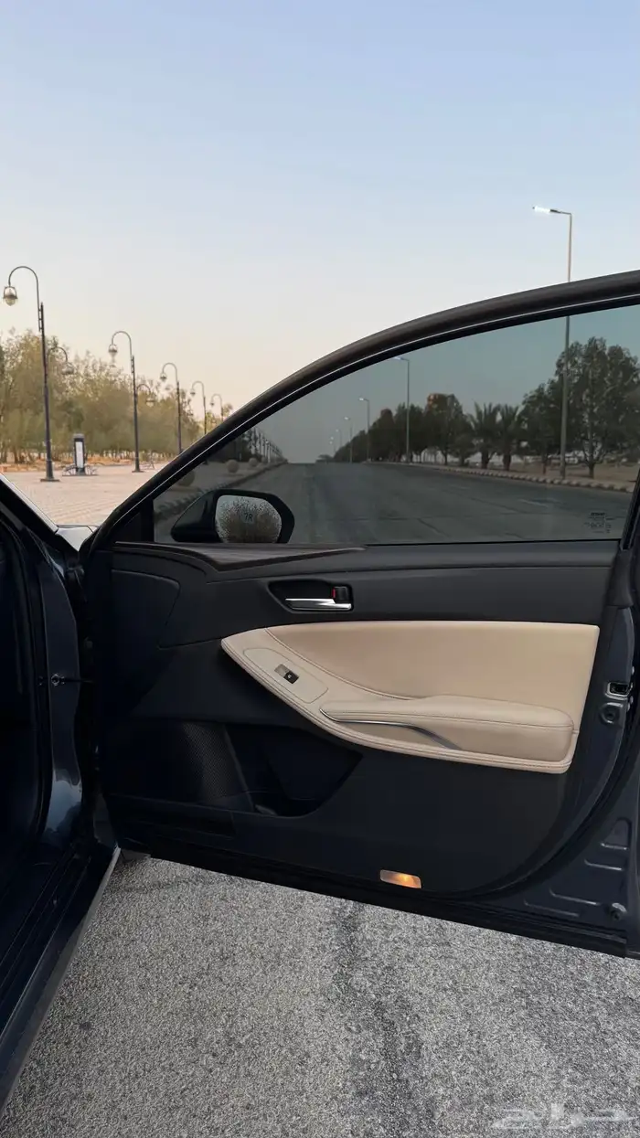افالون 2019 تورنق 17