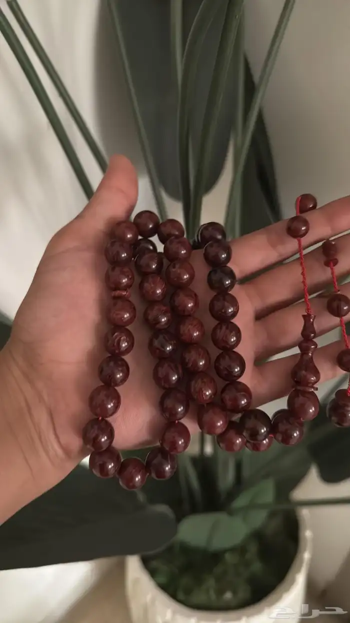 فاتوران خراطة احمد امين 0