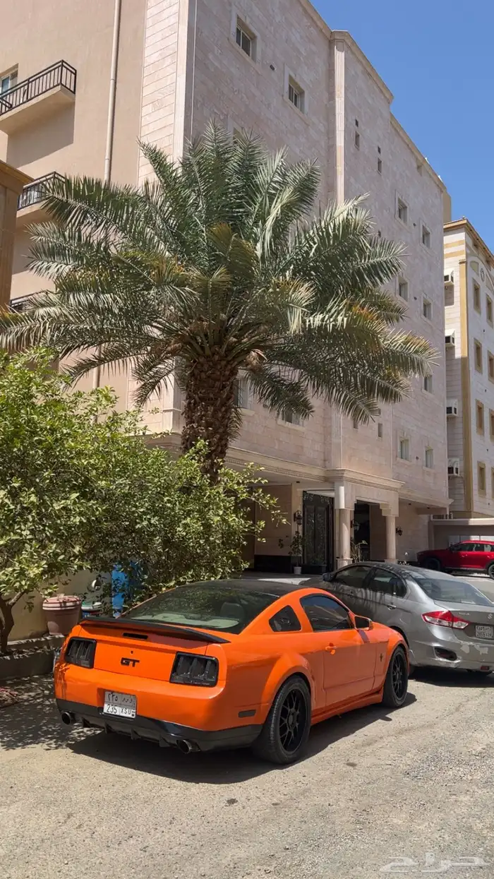 موستنج 2006 9
