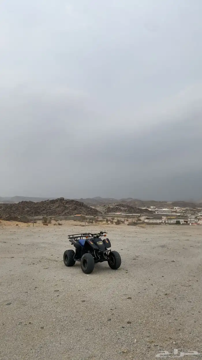 دباب سويدي مقاس 100 1