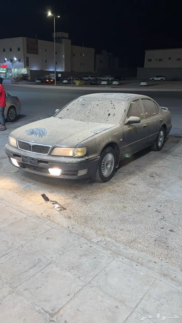 مكسيما 98 عشبي نص فل 7