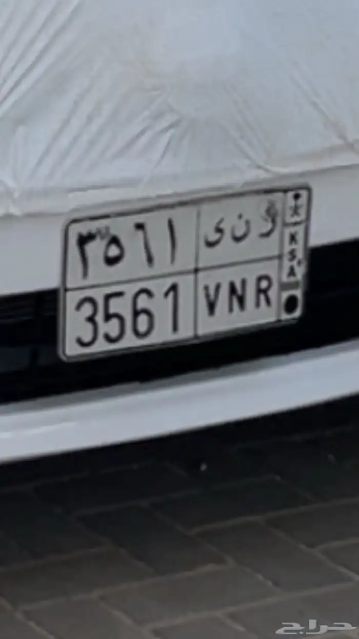لوحه رنى على السوم 0