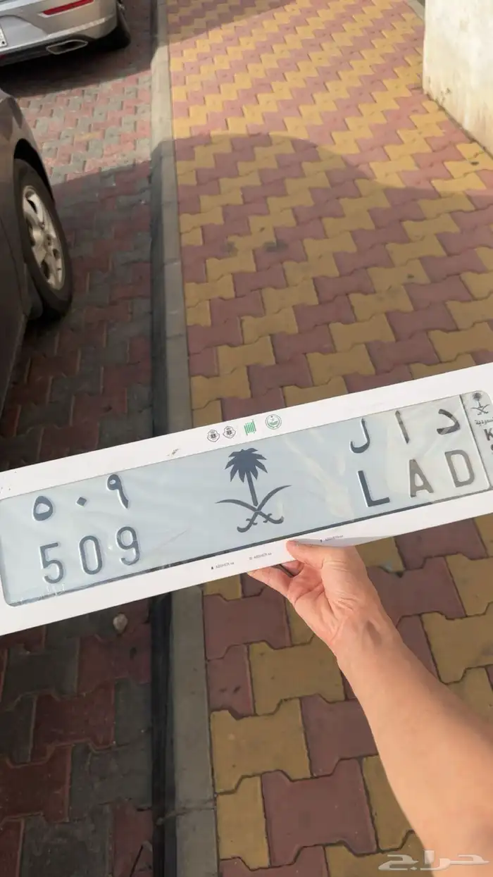 لوحة مميزه للبيع 0