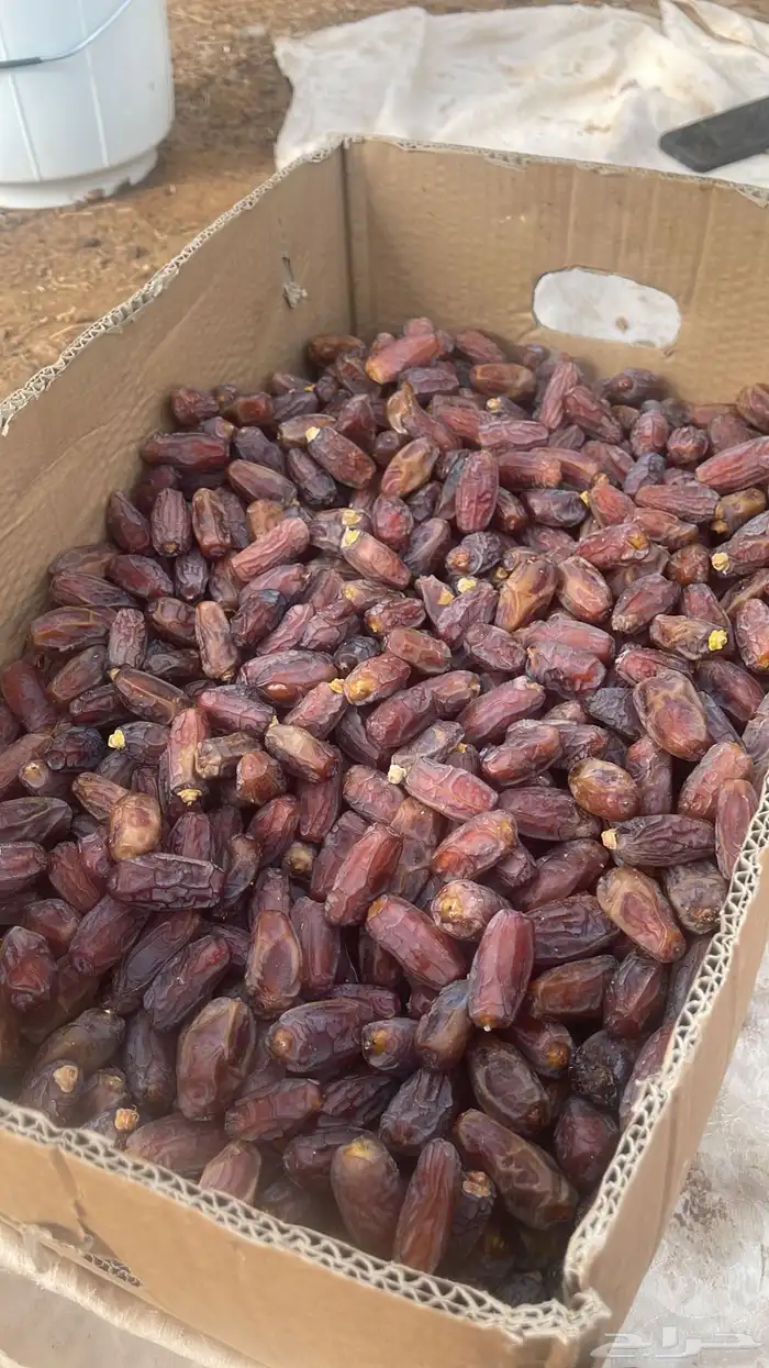 يوجد لنا تمر برني فاحر مبروم رقم 1. او 2 او 3. حلوه 2