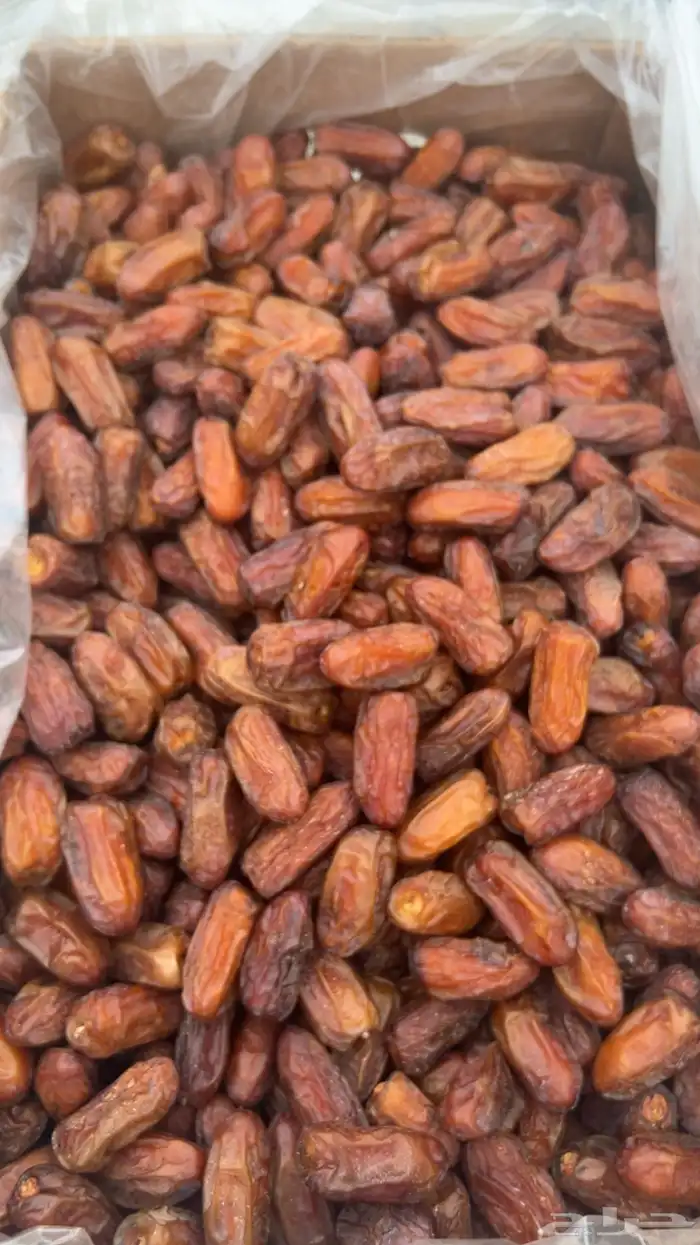 تمر صفري صافي حبة كبير اشعل نظيف 3