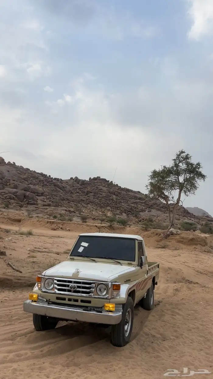 للبيع جيب شاص 11