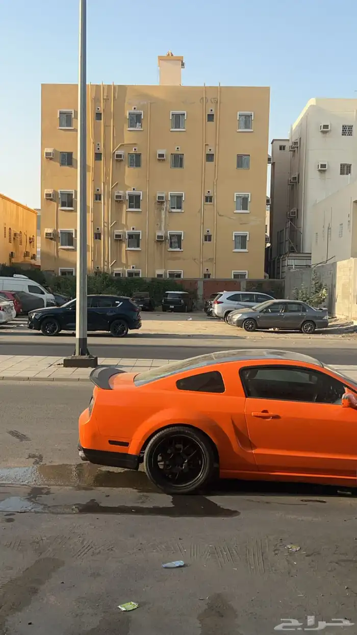 موستنج 2006 8