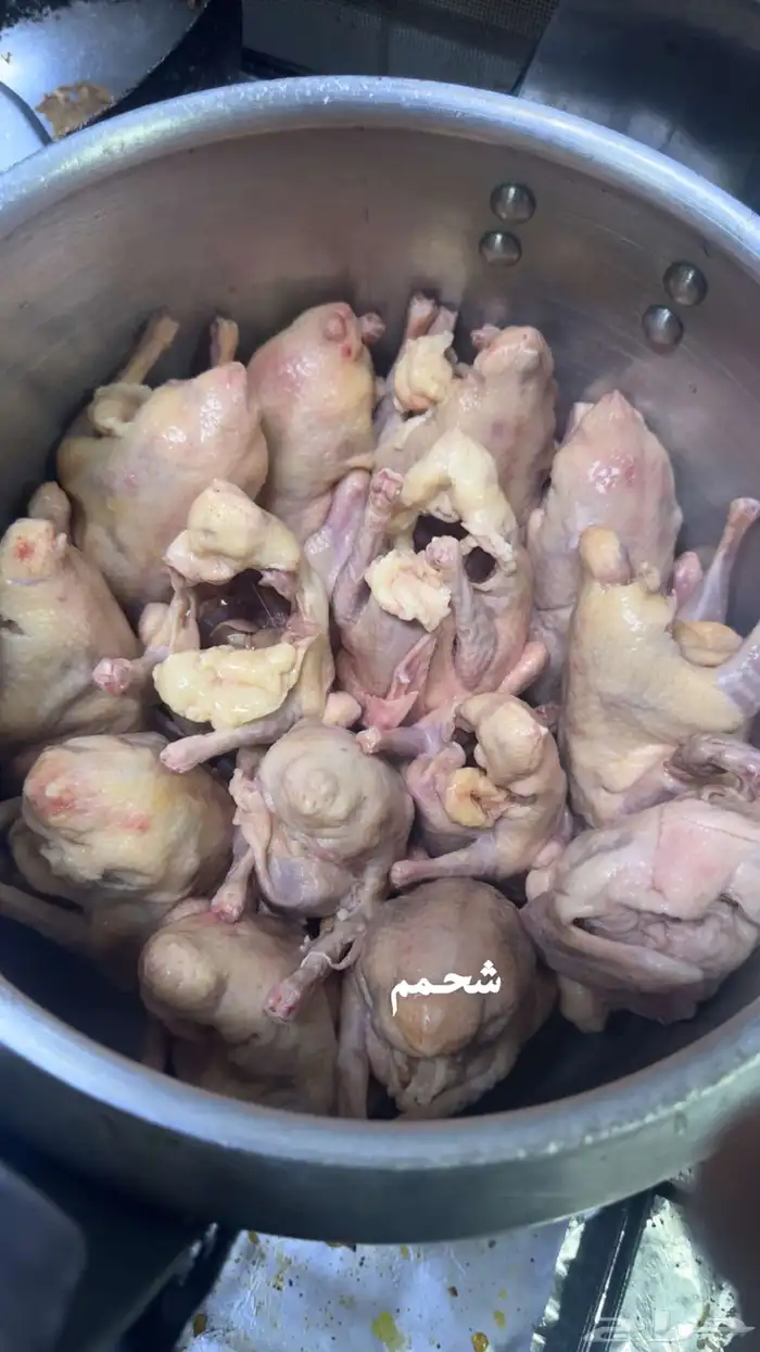 زغاليل ذبح يوم الاحد 0