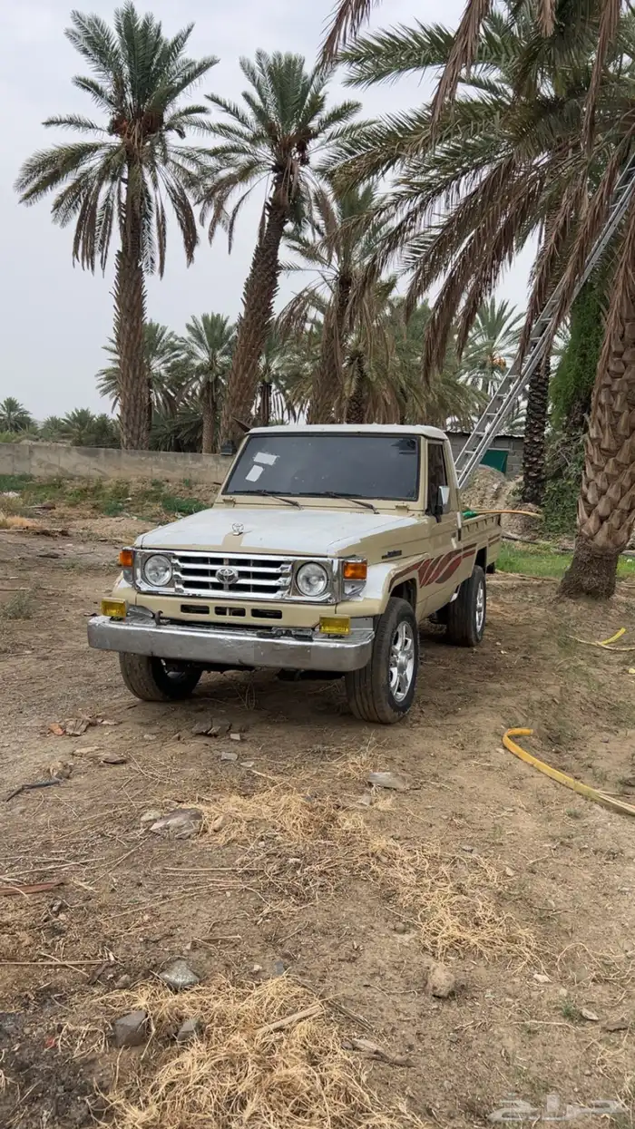 للبيع جيب شاص 2