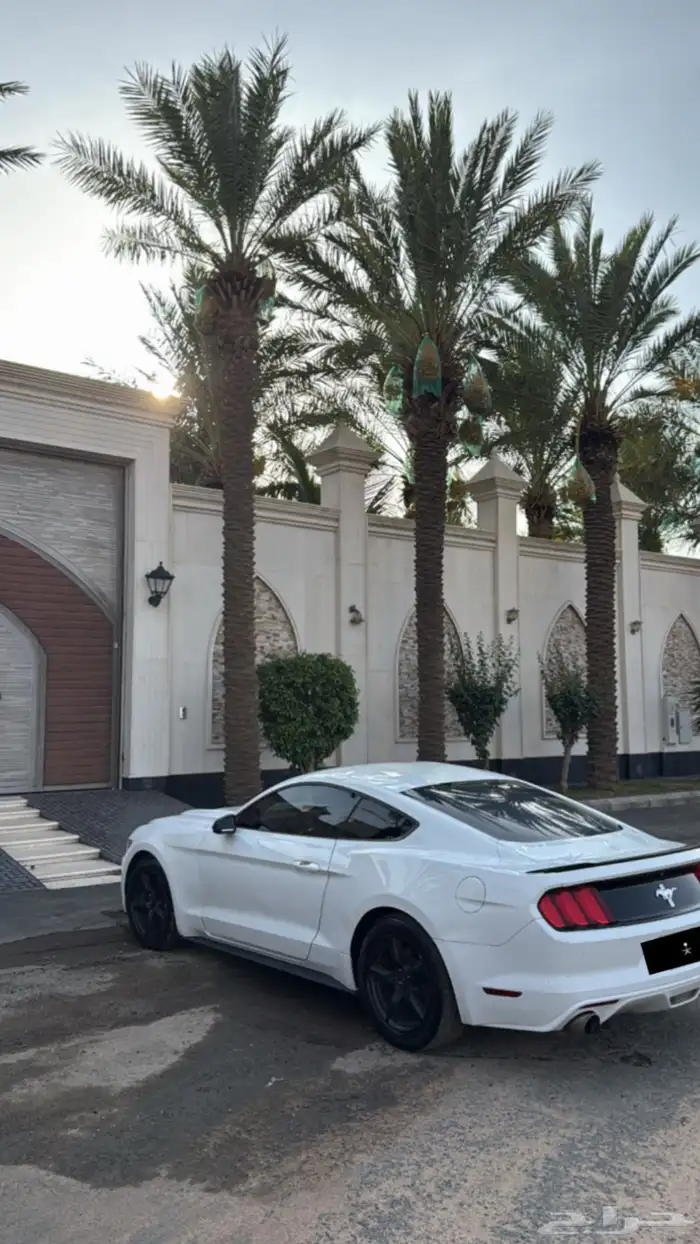 موستنق 3