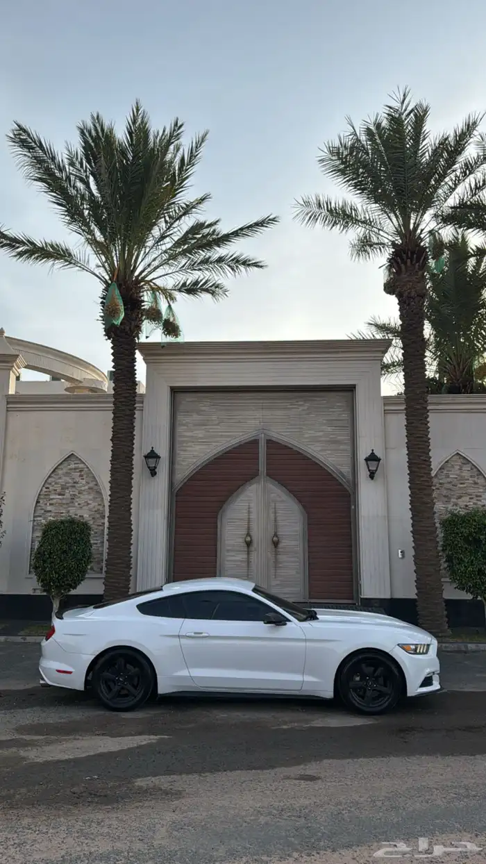 موستنق 0