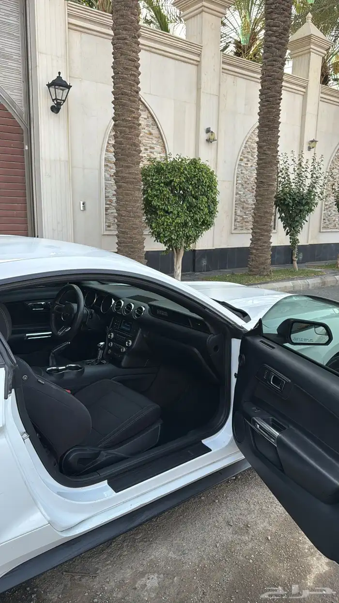 موستنق 1
