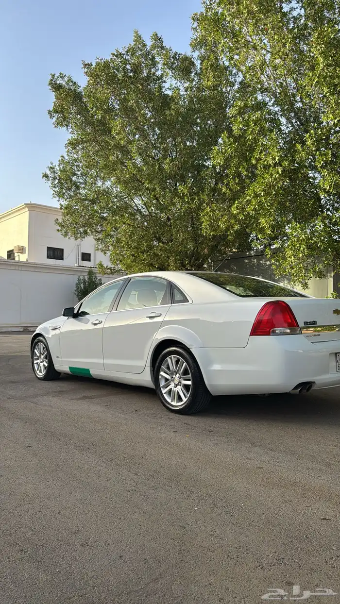 كابرس 2013 وكااله 1