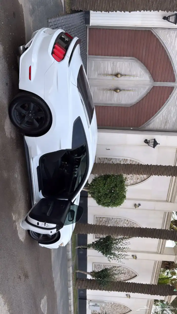 موستنق 4