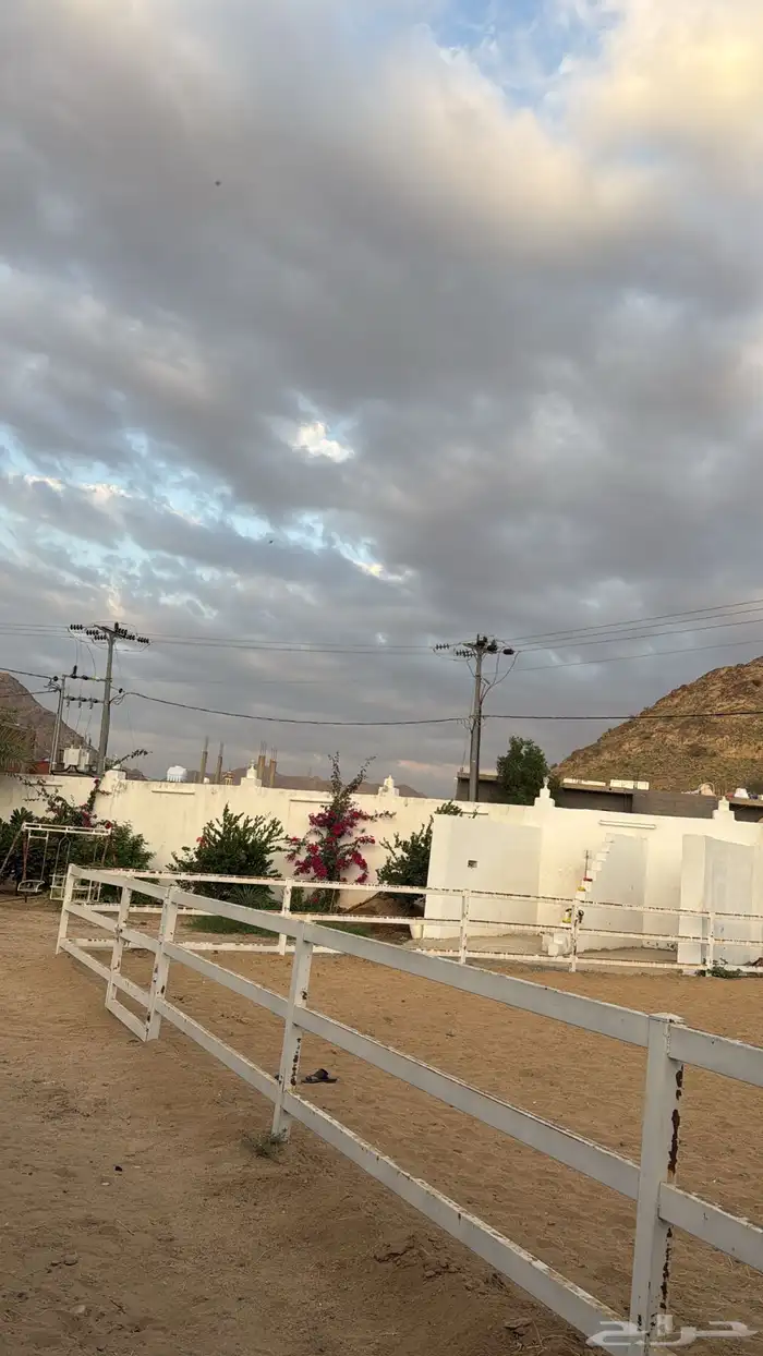 ايواء خيل 3