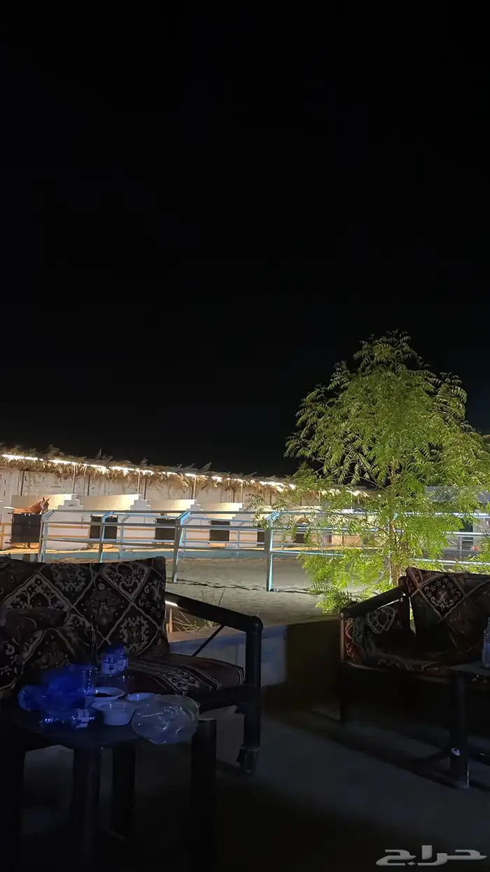 ايوا خيل وتدريب وعسف 7