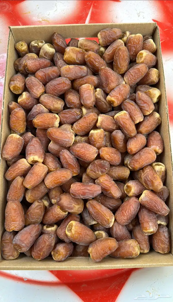 تمر رطب ومناصيف حائل نظيف شرط 2