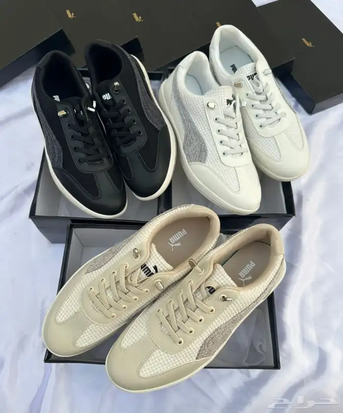 الشوزات 13