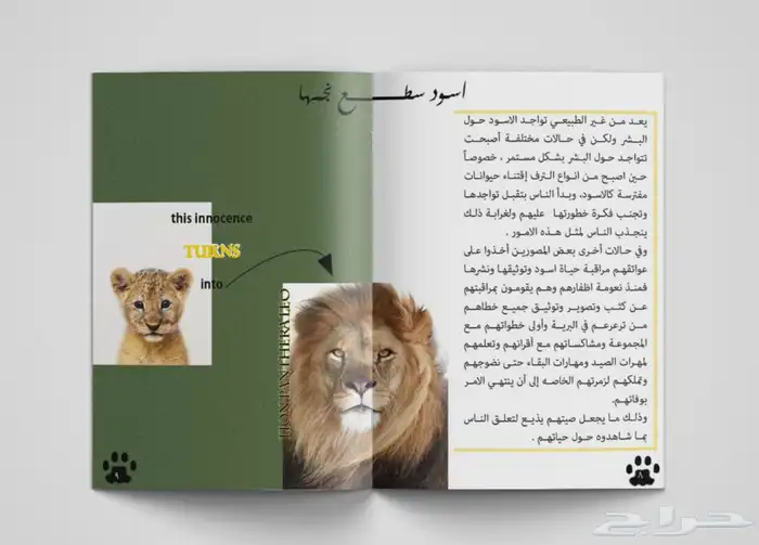 مصمم جرافيك 2