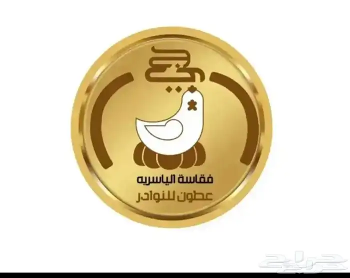تخفيضات الياسربه 6