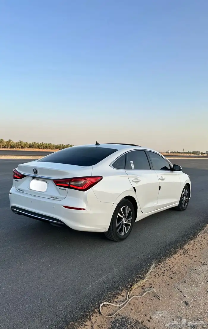 للبيع شانجان ايدو 2021 3