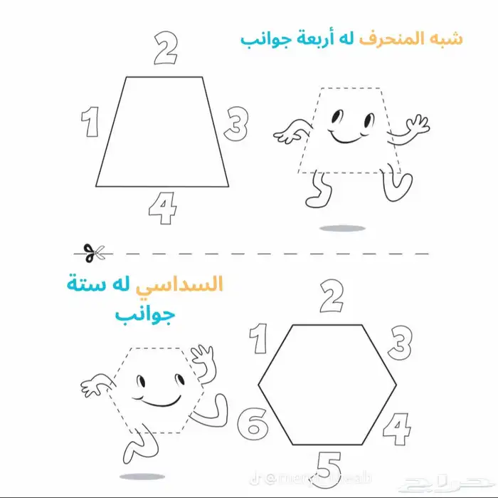 معلمه تأسيس ومتابعه الدر البيضاء العزيزيه 3